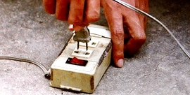 pea011