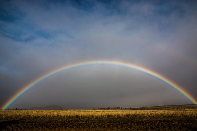 Photographer: Steve Nygaard