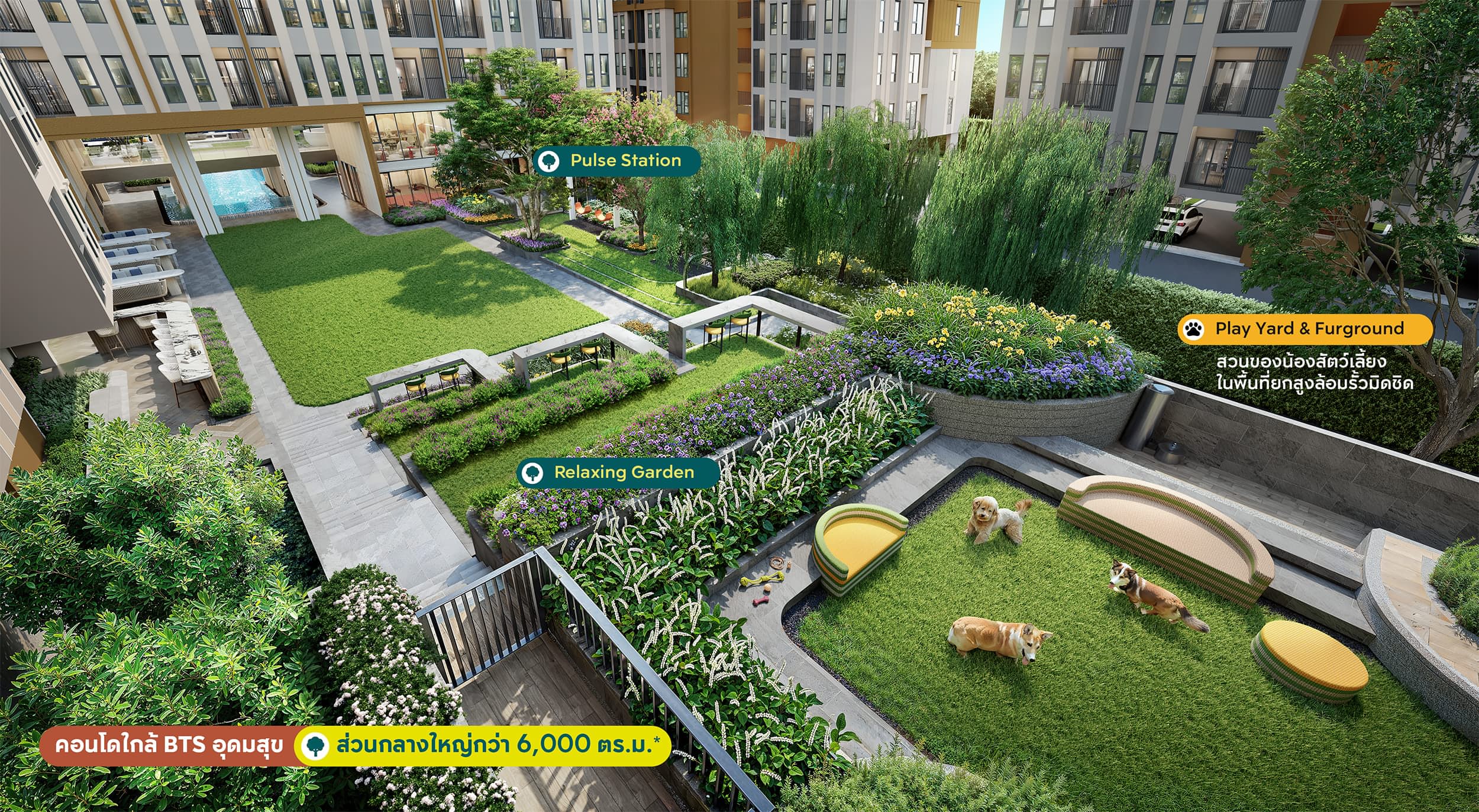 Pet Park in Aspire Sukhumvit 103 is The Pet Friendly Condo Udomsuk