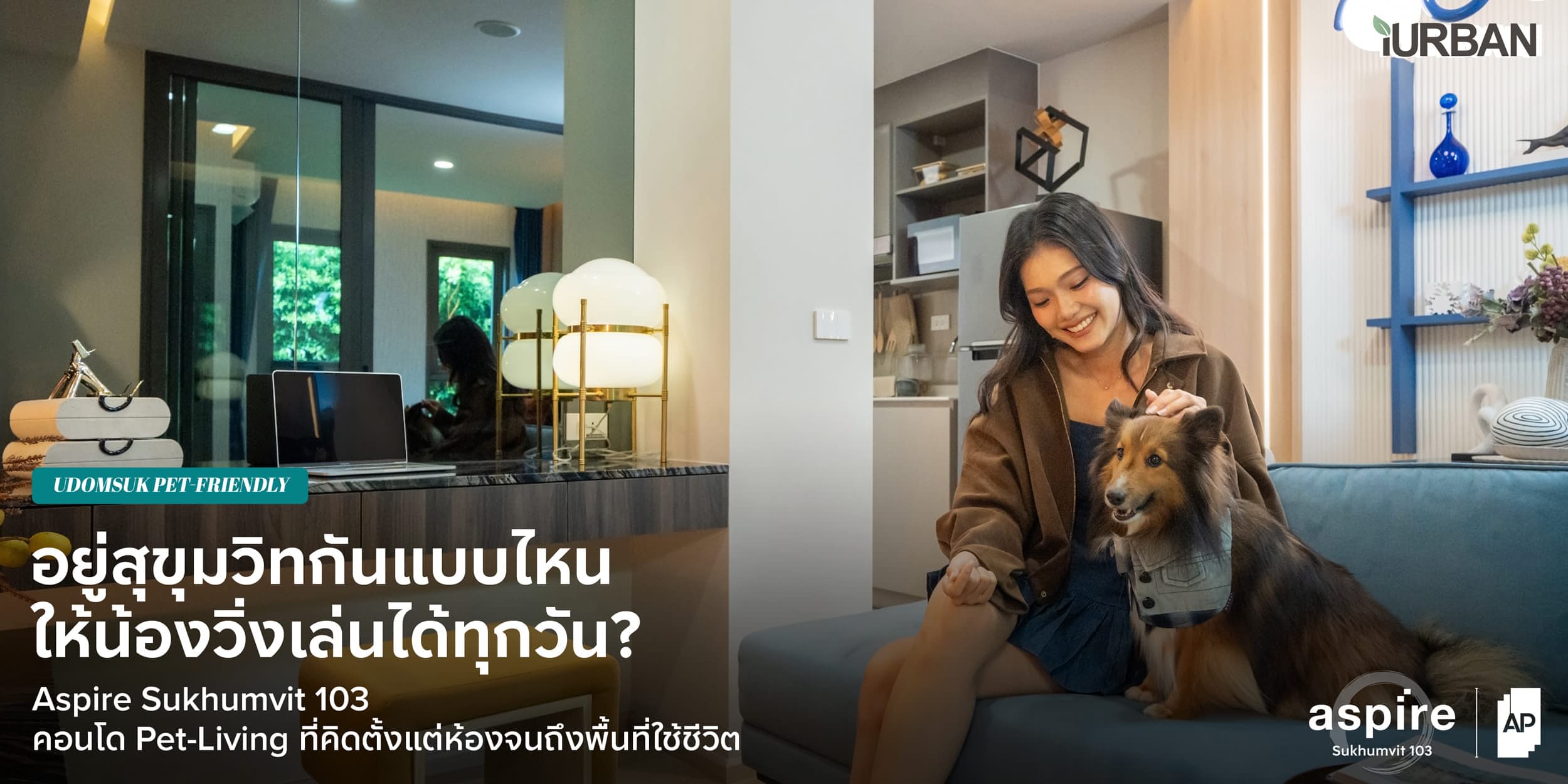 Aspire Sukhumvit 103 is The Pet Friendly Condo Udomsuk