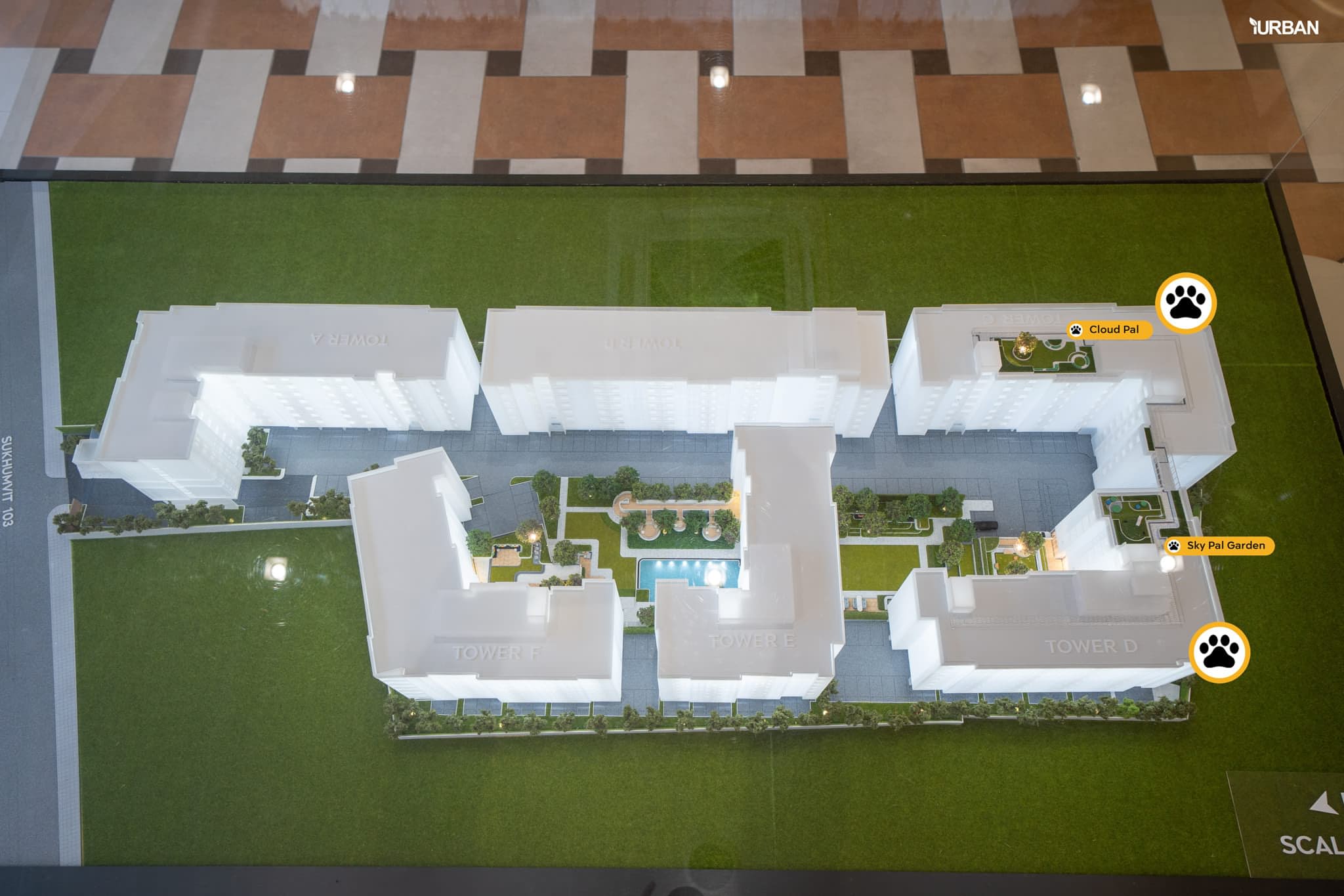 Building - Aspire Sukhumvit 103 is The Pet Friendly Condo Udomsuk