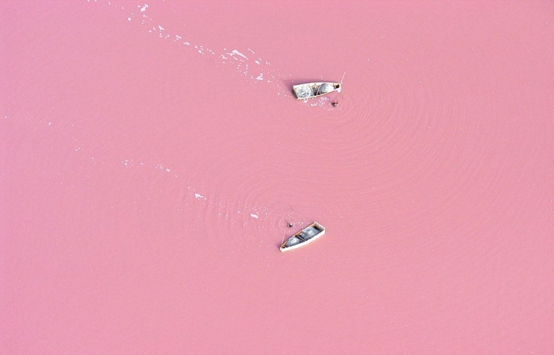 Strawberry Milkshake Lake @Retba ทะเลสาบนมเย็น 16 - Lake