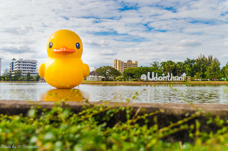 Giant Rubber Duck floats Udon Thani pride à¹à¸à¹à¸à¸¢à¸±à¸à¸©à¹ ลà¹à¸à¸à¸¥à¸à¸¢à¸à¸µà¹ à¸.à¸à¸¸à¸à¸£à¸à¸²à¸à¸µ 13 - duck